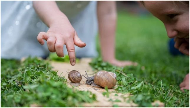 Encourage Open-Ended, Imaginative Play