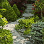Level Up Your Garden 7 Steps to Transition from Beginner to Pro