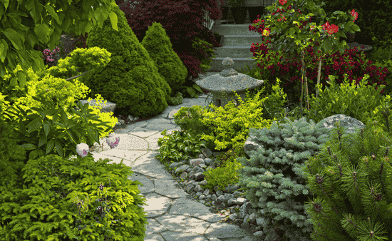 Level Up Your Garden 7 Steps to Transition from Beginner to Pro