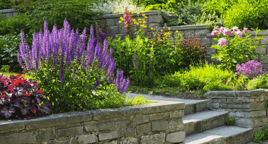 Master the Art of Succession Planting