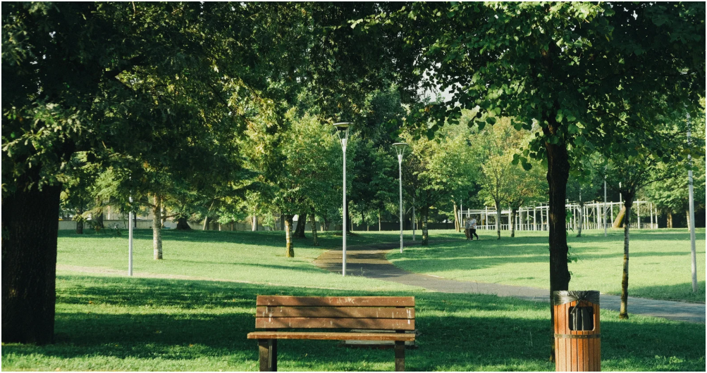 5 Park Improvements That Residents Appreciate the Most