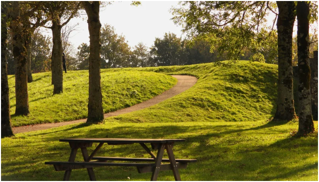 Shaded Pavilions and Group Picnic Areas